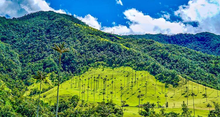 Customized Colombia 2-Week Family Trip, Daily Departure - Agate Travel 10