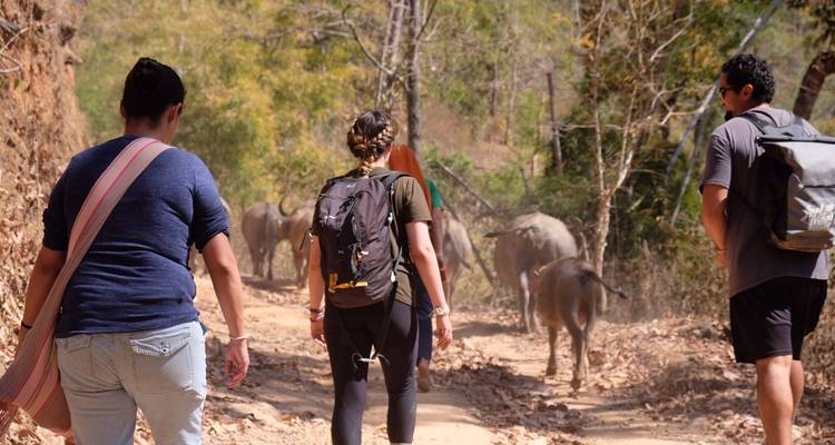 Trekking et culture, Bangkok et Chiang Mai - 6 nuits - Trunk Travel 10