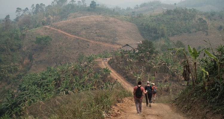 Trekking et culture, Bangkok et Chiang Mai - 6 nuits - Trunk Travel 7