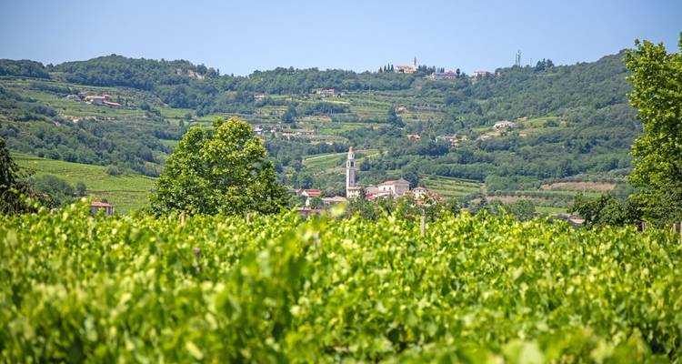 Veneto Villas & Wine with Charm - Eurobike 1