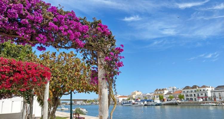 Algarve - Eurobike 2