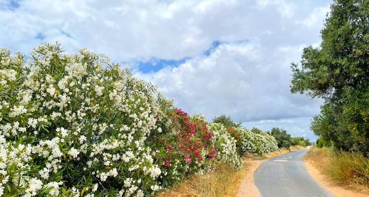Algarve - Eurobike 8