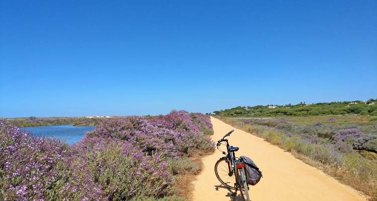 Algarve - Eurobike 10
