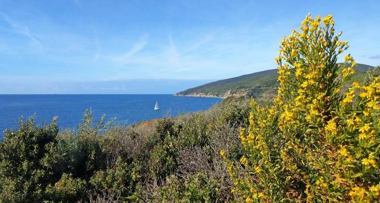 Costa Toscana 8/7 - Eurohike 3