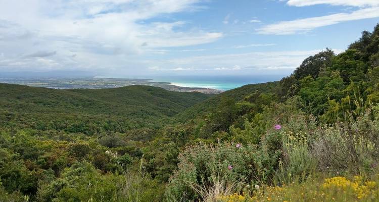 Costa Toscana 8/7 - Eurohike 10