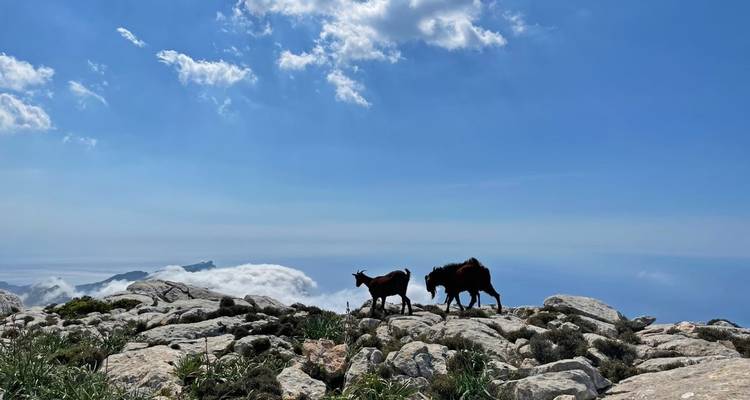 Majorque GR 221 9/8 - Eurohike 9