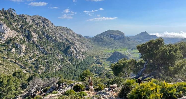 Majorque GR 221 9/8 - Eurohike 10