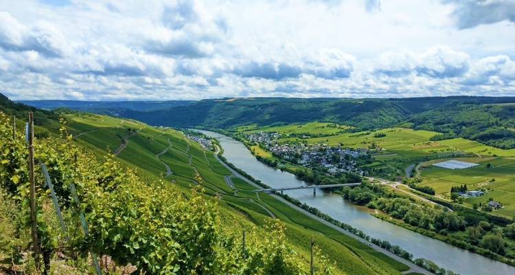 Lo mejor del Sendero del Moselsteig para familias 8/7 - Eurohike 4