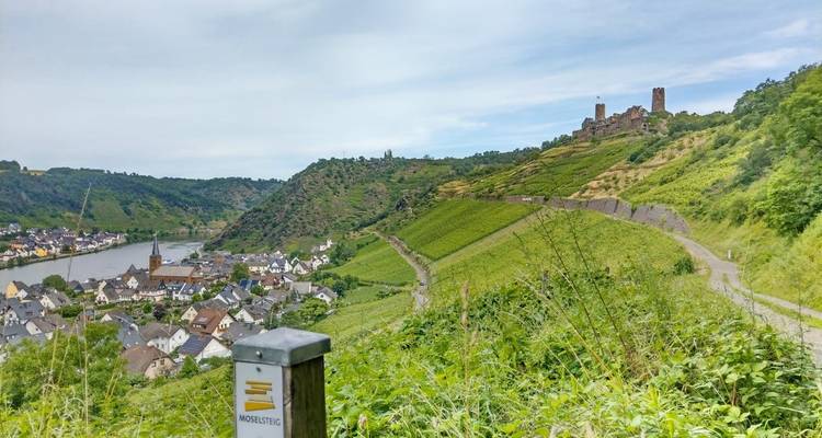 Lo mejor del Sendero del Moselsteig para familias 8/7 - Eurohike 6