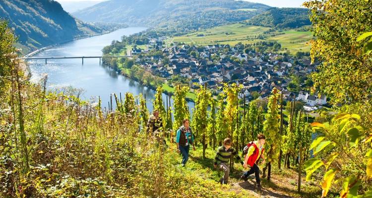 Lo mejor del Sendero del Moselsteig para familias 8/7 - Eurohike 10
