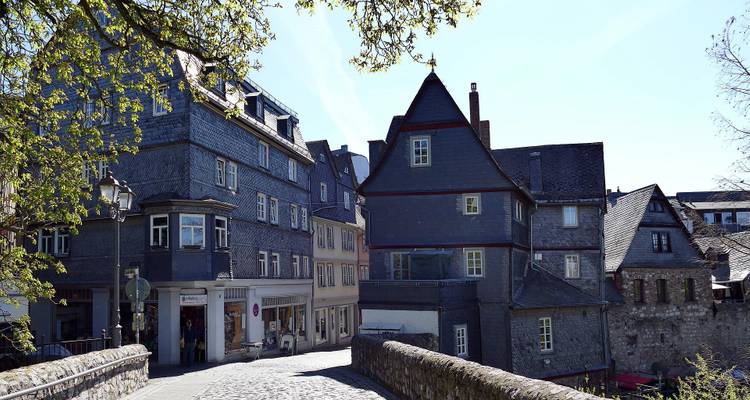 Quaint, traditional buildings under a tree-lined path.