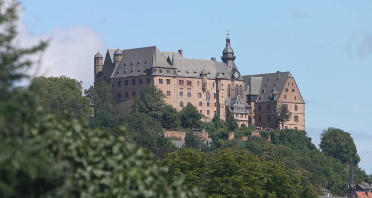 Large historic castle on a hill surrounded by trees.