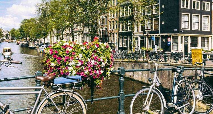 Canal pittoresque d'Amsterdam avec un pont chargé de fleurs et des bicyclettes garées.