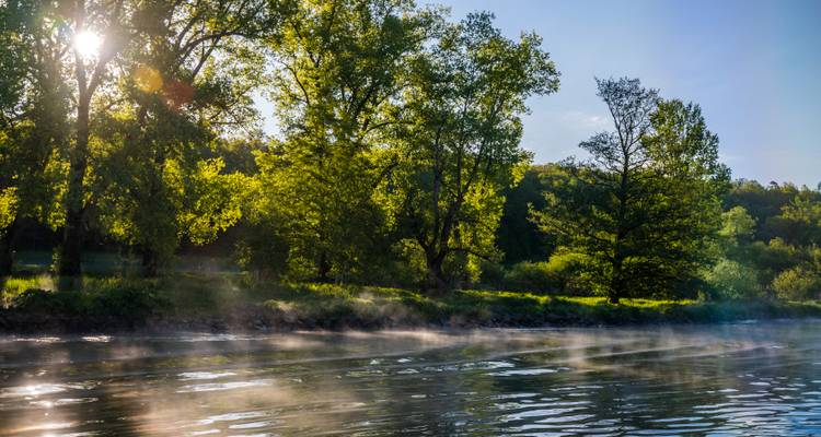 Nebliger Fluss mit üppigen grünen Bäumen.