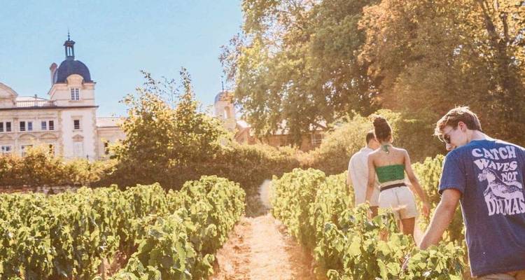 Young travellers walking through sunlit vineyard rows beside an elegant château.