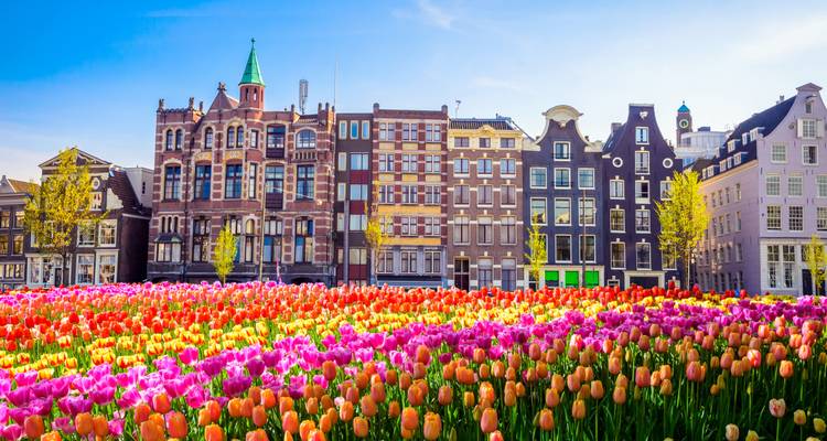 Ruta Europea (Verano, Inicio Ámsterdam, Clásico) - Contiki 9