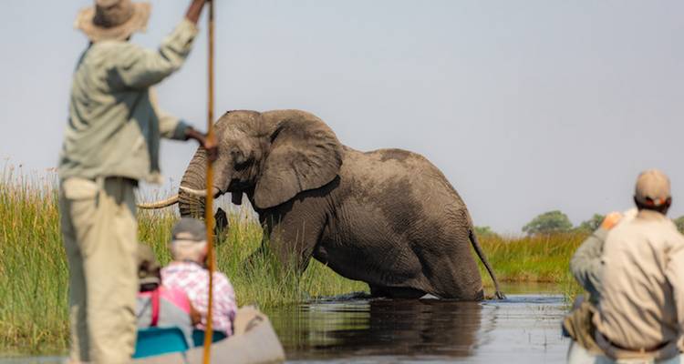 People in a canoe observing an elephant standing in the water.