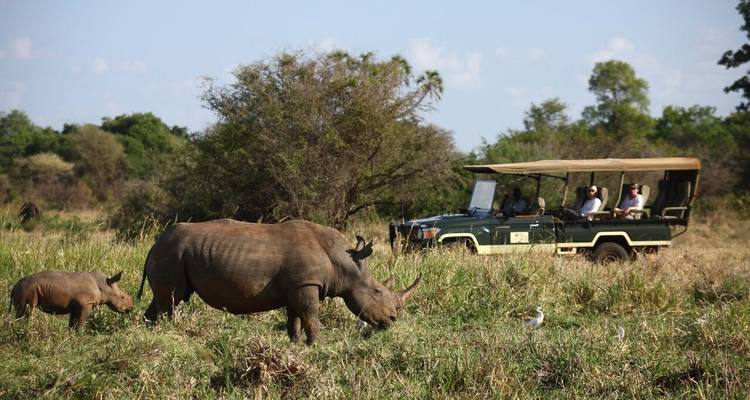 11 Days Romatic / Honeymoon Luxury Safari in Kenya - Samson's Safaris 9