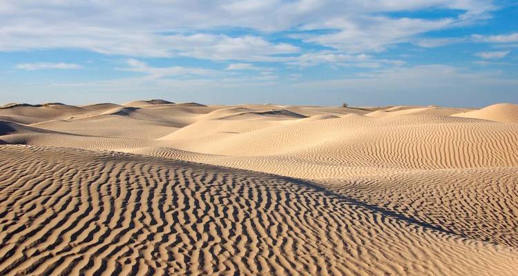 Sahara- Ennedi Express 9 Days/ 8 Nights ( Luxury) - Across Africa Tours & Travel 2