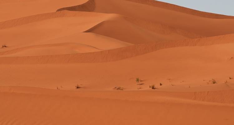 Sahara - Descubrimiento de Ennedi y el lago Ounianga 15 días/14 noches - Across Africa Tours & Travel 2