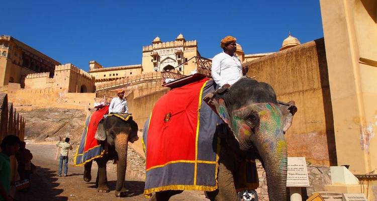 Elephants decorated with blankets and people riding on them near a fort.