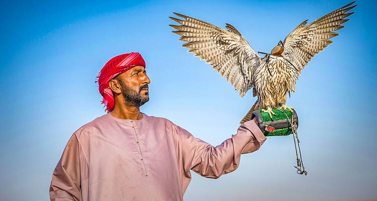 Vacances familiales privées personnalisées à Dubaï et Abu Dhabi, départ quotidien - Agate Travel 3