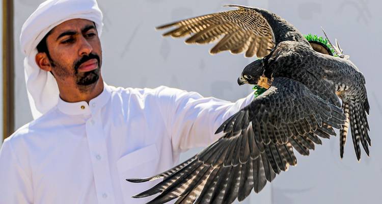 Voyage privé sur mesure à Dubaï avec désert et Abu Dhabi, départ quotidien - Agate Travel 4