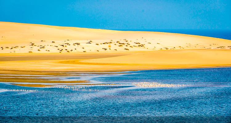 Circuit privé sur mesure au Qatar avec safari dans le désert, départ quotidien - Agate Travel 3
