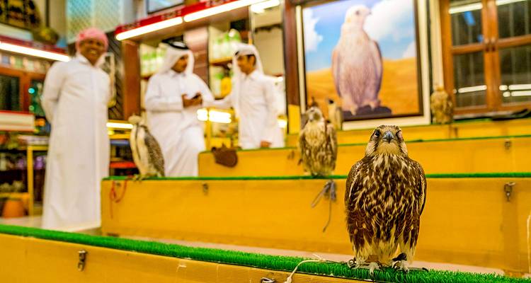 Tailor-Made Qatar Family Trip with Daily Departure, Private Guide and Car - Agate Travel 3