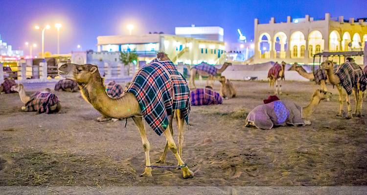 Tailor-Made Qatar Family Trip with Daily Departure, Private Guide and Car - Agate Travel 6