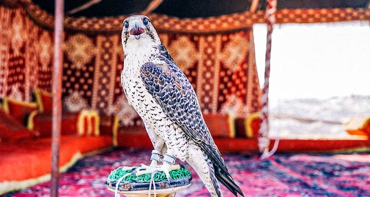 Tailor-Made Qatar Family Trip with Daily Departure, Private Guide and Car - Agate Travel 10