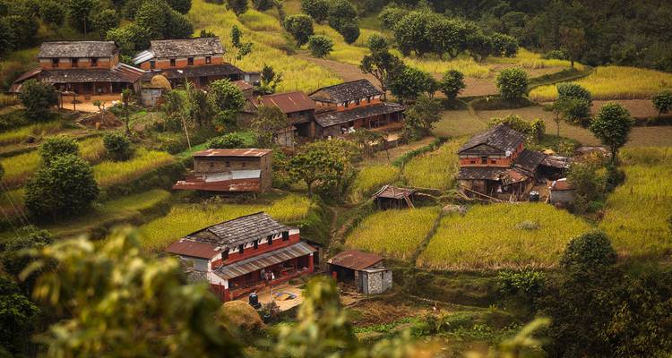 Randonnée à Panchase - Nepal Social Treks 6
