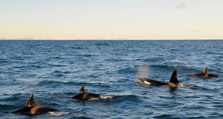 Islandia norte y sur - 6 días - On The Go Tours 5
