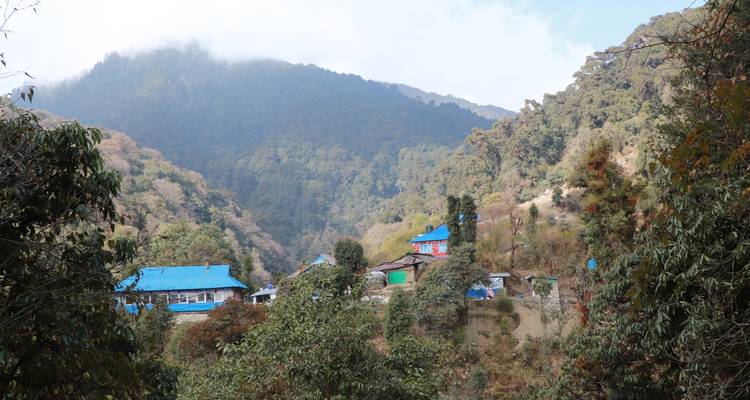 Klein dorp met blauwe daken verscholen in een beboste vallei.