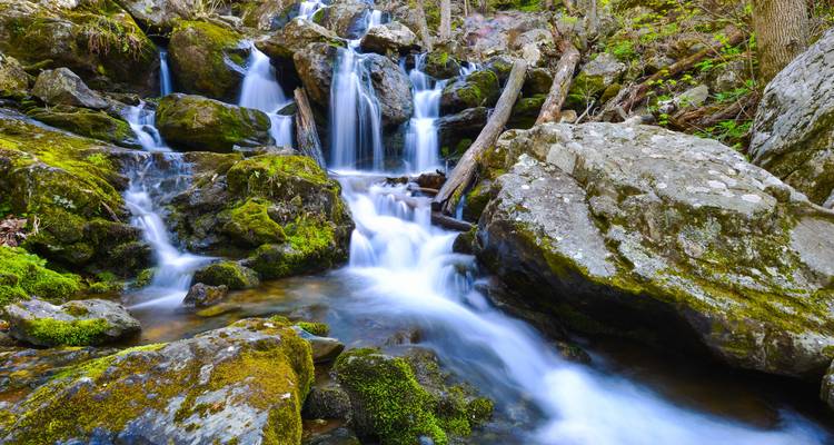Spectacular National Parks of Eastern USA (Small Groups) - Insight Vacations 2