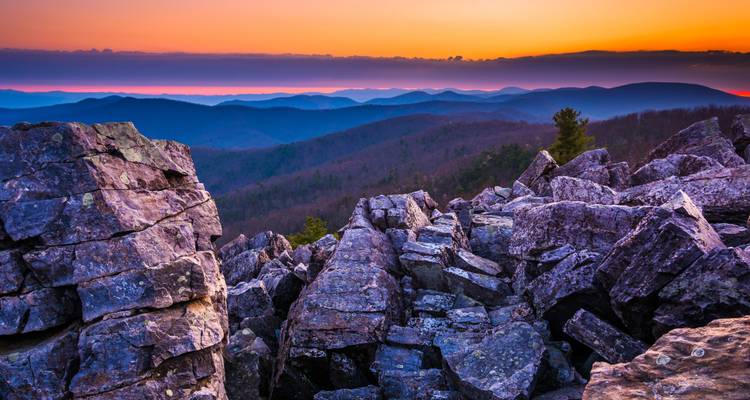 Parcs nationaux spectaculaires de l'est des États-Unis (Classique) - Insight Vacations 5