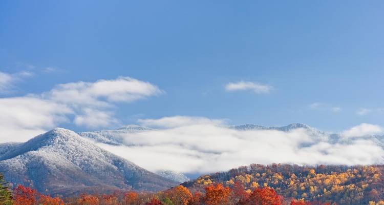 Schneebedeckte Berge mit Herbstlaub unter einem blauen Himmel.