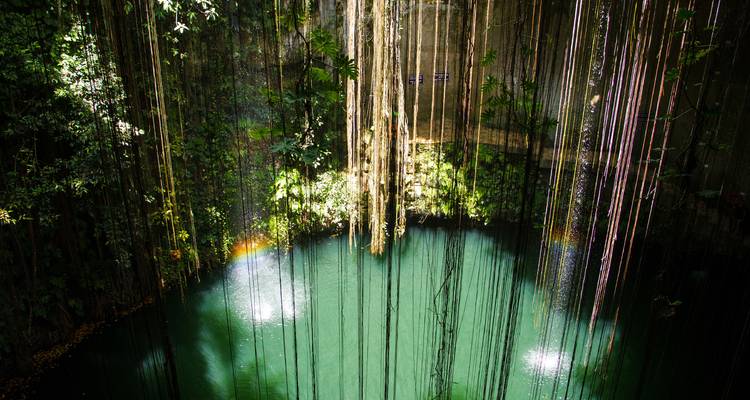 A stunning cenote with hanging roots and foliage surrounding a deep blue pool.