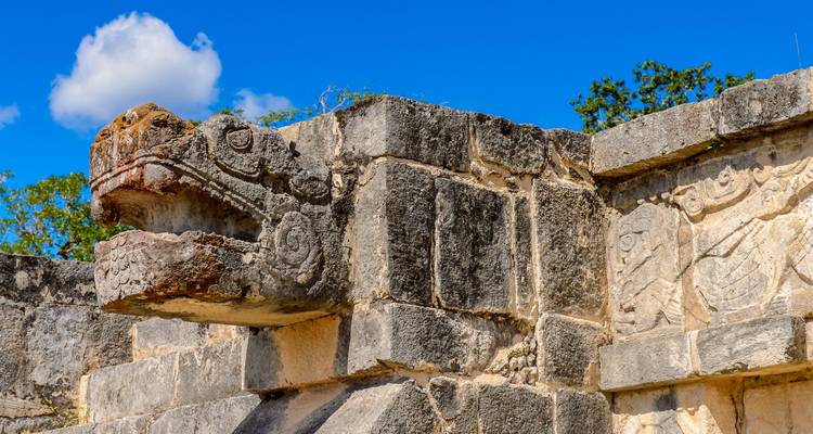 Detail of a stone carving of a serpent's head.