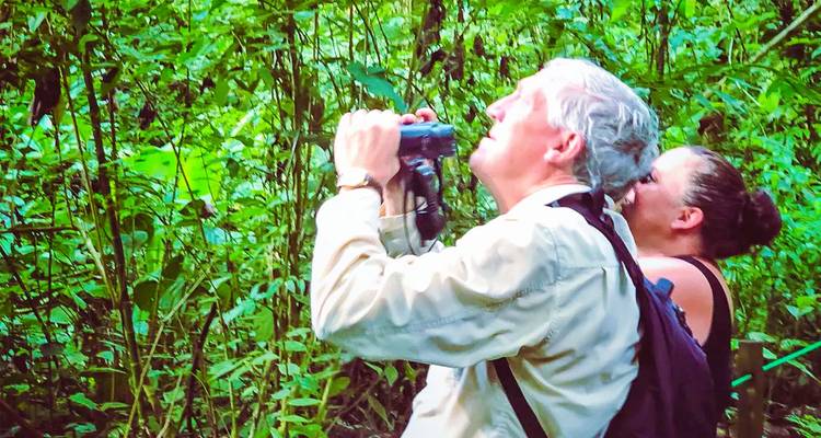 Personnes utilisant des jumelles dans la forêt