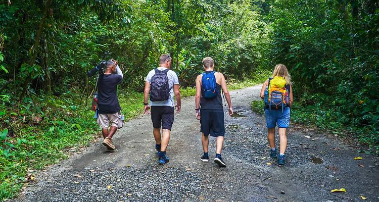 Groupe faisant de la randonnée sur un sentier forestier luxuriant