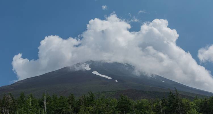 El Monte Fuji, parcialmente cubierto de nieve, se eleva entre nubes blancas que flotan sobre un bosque verde.