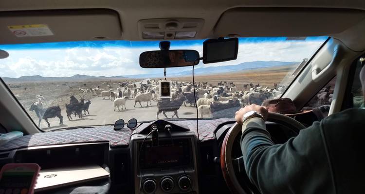 Kharkhorin and Ogii Lake tour - TTRMongolia 6