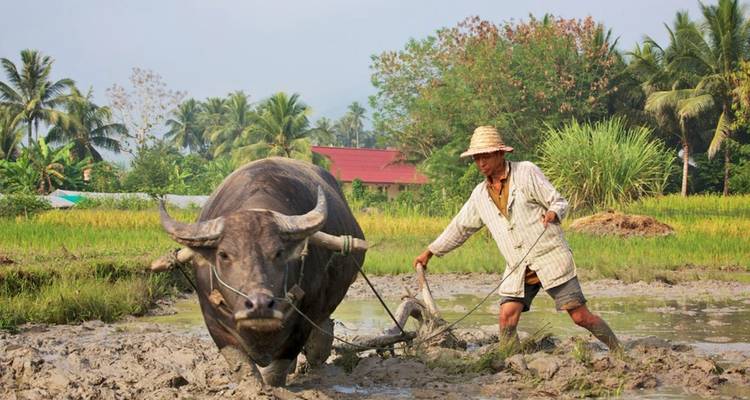 Cycle Laos Backroads - Siem Reaper Travel 7