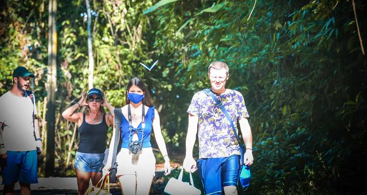 Grupo de personas caminando por un sendero del bosque.
