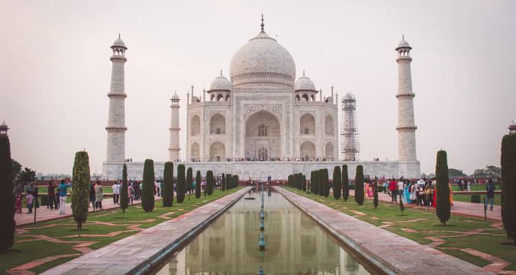 India: The Taj & The Tigers W/Private guide - Wanderful Holidays LLC 1