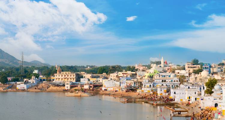 India: The Taj & The Tigers W/Private guide - Wanderful Holidays LLC 3