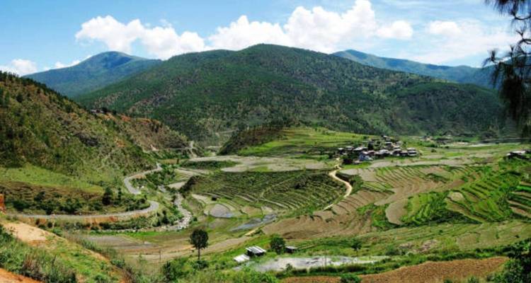 Une vue pittoresque de champs en terrasses et d'un village dans une vallée verdoyante luxuriante.