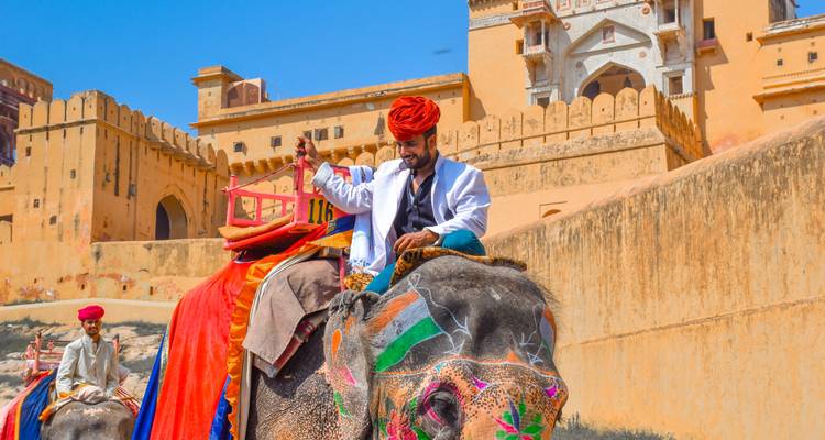 Léopards, tigres, triangle et lever de soleil sur le Taj Mahal 6 jours - Joyful Holidays 2