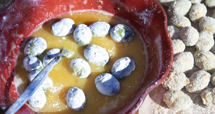 Taste of Marche-Authentic Culinary Experience - MarcHuzzo Viaggi Piceno 2.0 Srls 1